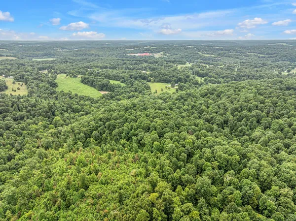 a view of a lake in middle of forest