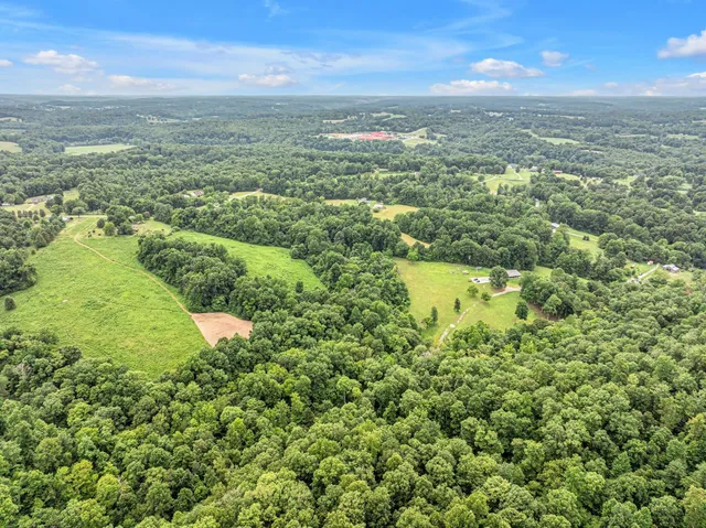 a view of a city with lush green forest