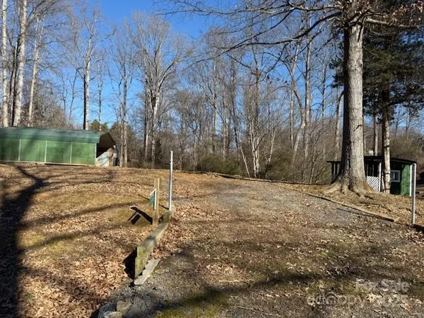 a view of a yard with a tree