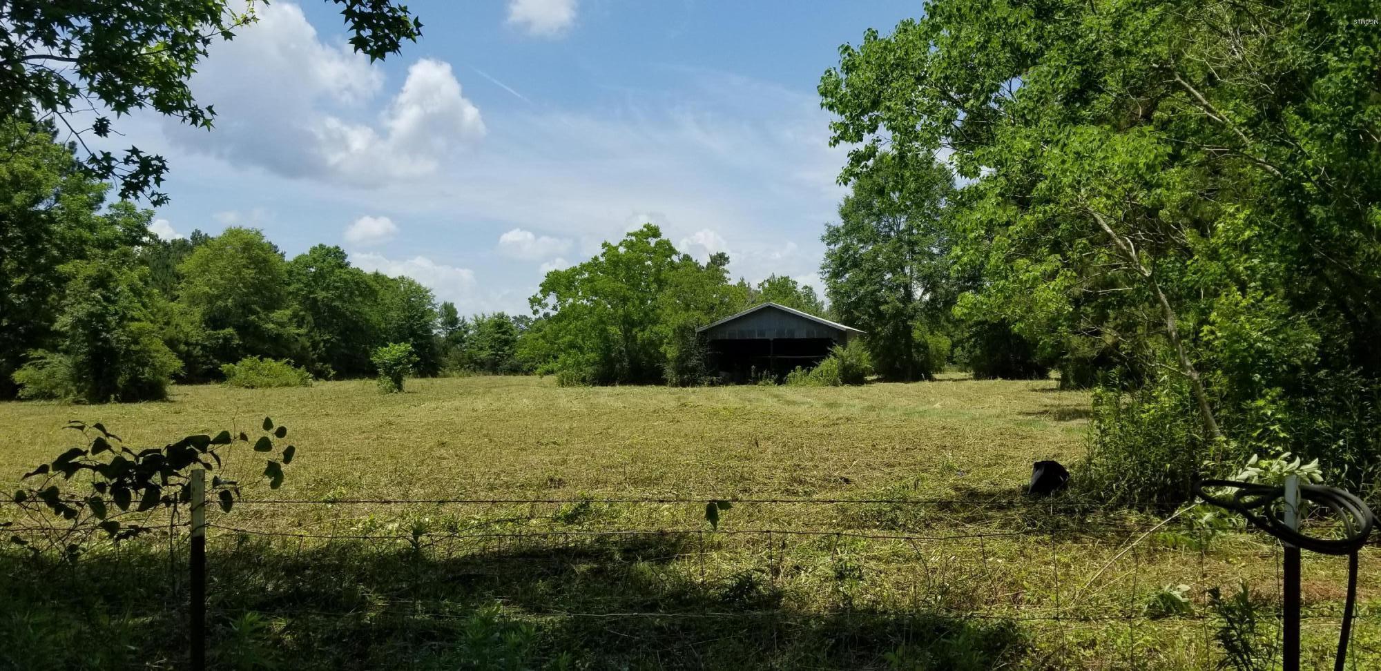 56 Randolph Burge Road Carriere, MS 39426 - Photo 13 of 31 20180601_133940