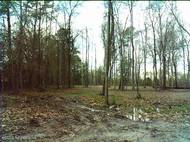 Lot 0 Petree Road Callahan, FL 32011 - Photo 2 of 2 2nd View of Vacant Lot