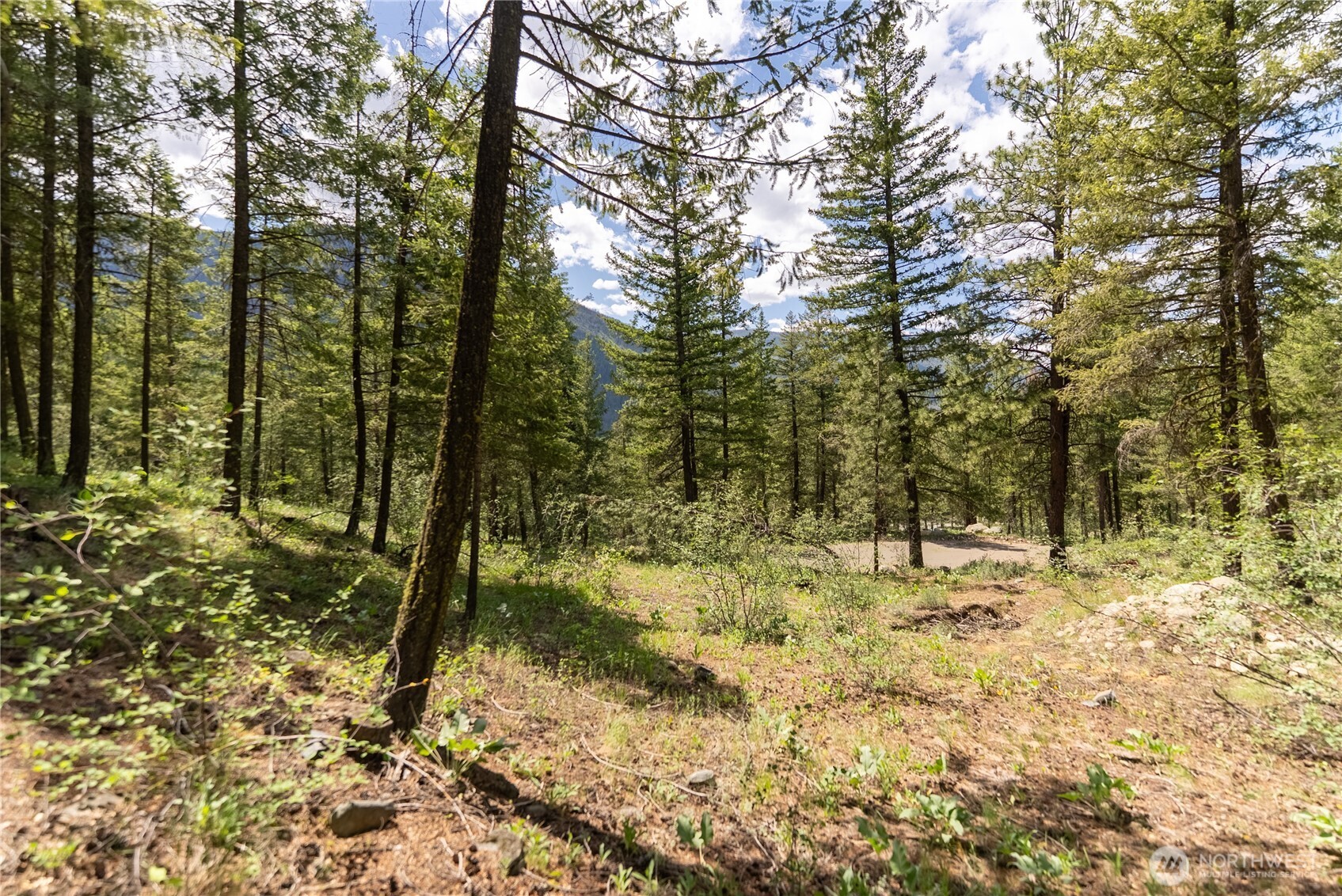 6 Homestead Road Winthrop, WA 98862 - Photo 24 of 40 a view of a yard with trees