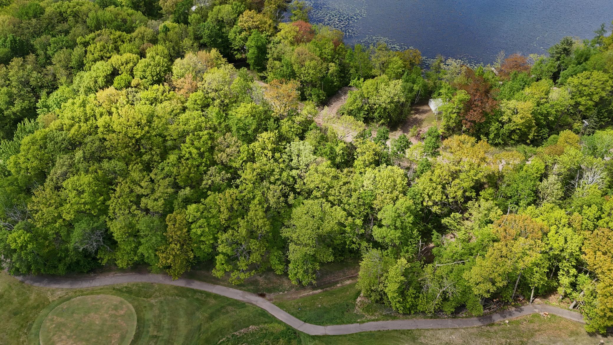 0 Captive Lake Road Garrison, MN 56450 - Photo 2 of 10