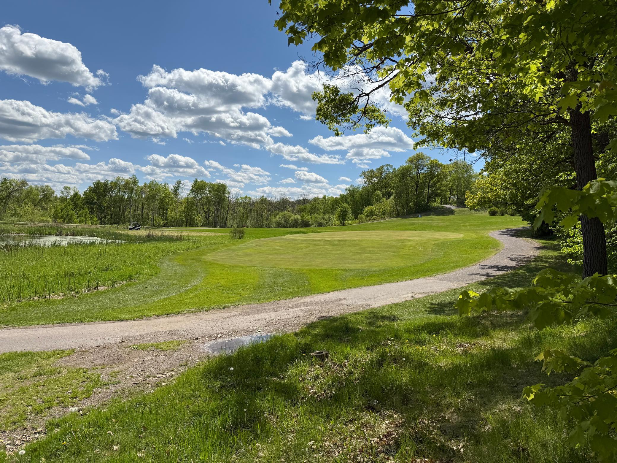 0 Captive Lake Road Garrison, MN 56450 - Photo 6 of 10