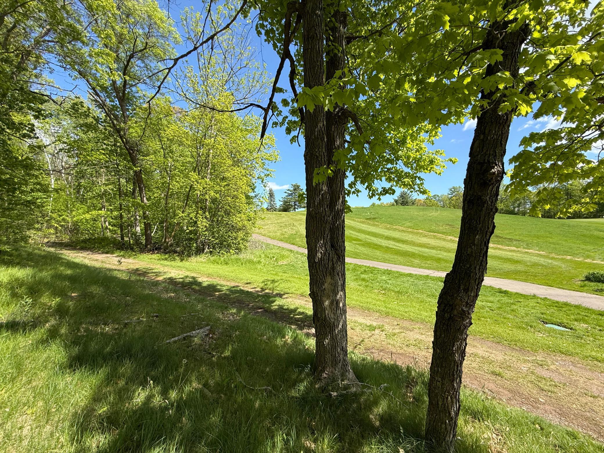 0 Captive Lake Road Garrison, MN 56450 - Photo 7 of 10