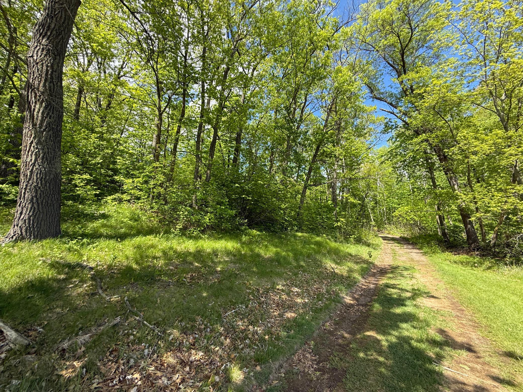 0 Captive Lake Road Garrison, MN 56450 - Photo 8 of 10