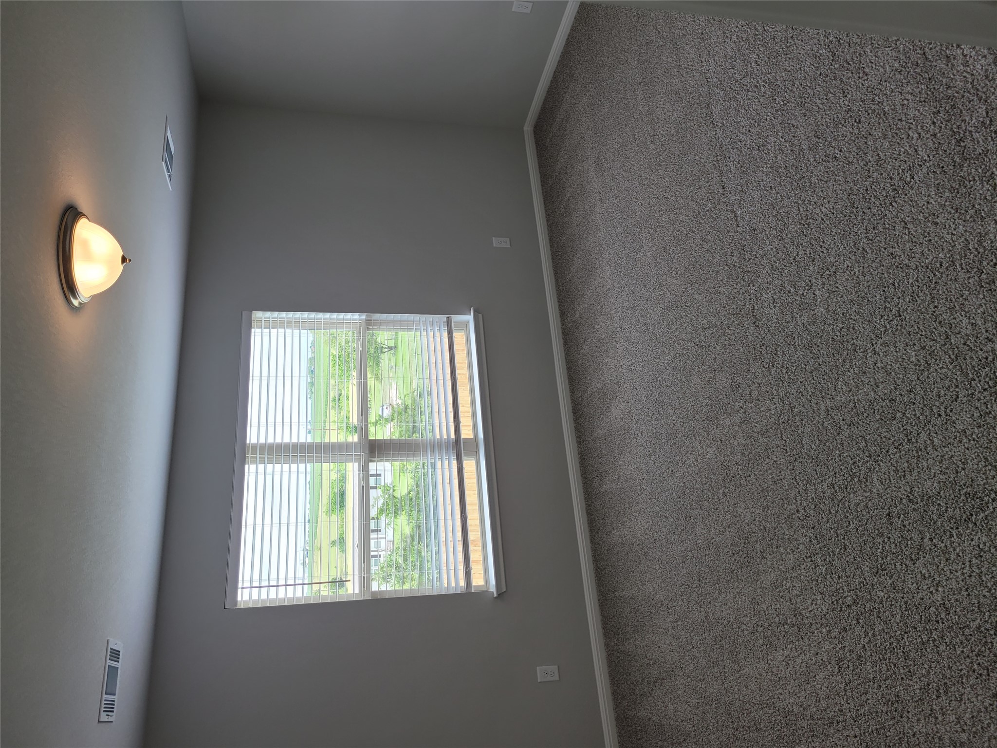 131 Wild Wind Cove Jarrell, TX 76537 - Photo 16 of 26 Carpeted room featuring a large window with horizontal blinds, a neutral wall color, white baseboards, and a flush mount ceiling light fixture