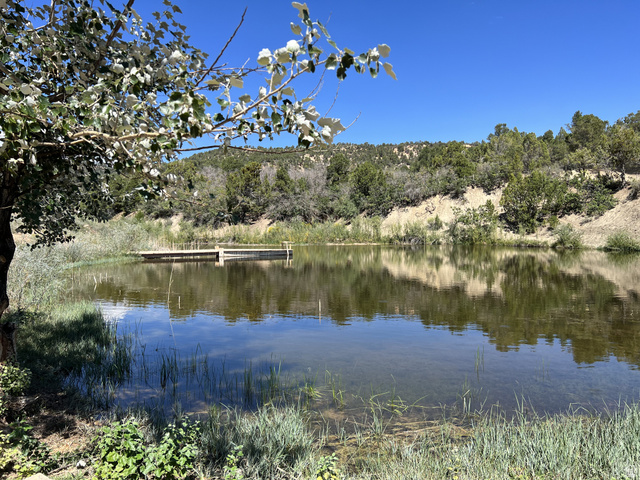 38 Broken Branch Road, Unit 38 Kanab, UT 84741 - Photo 47 of 53 Private pond with a built-in dock, surrounded by natural landscaping and mature trees