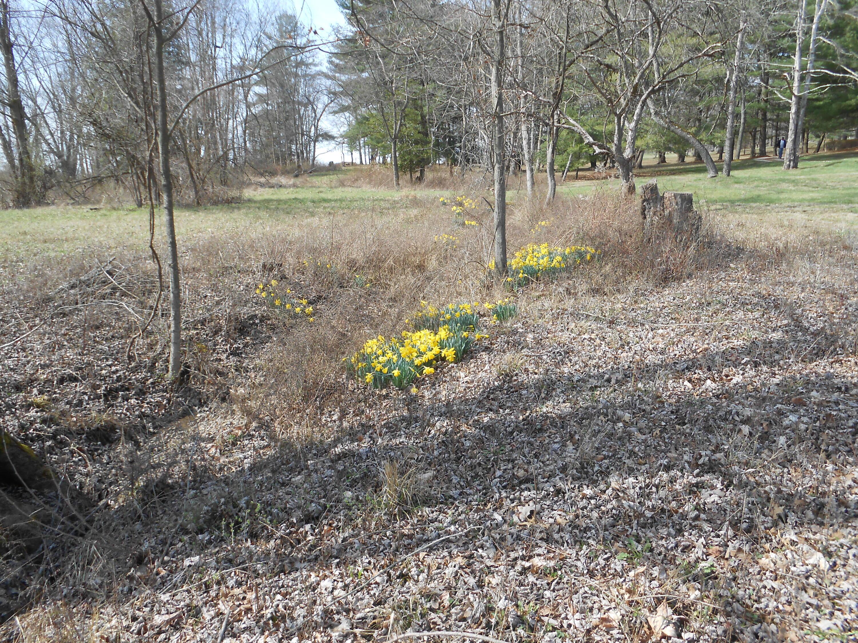 6570 Lancaster Road Hebron, OH 43025 - Photo 4 of 25 DSCN9838