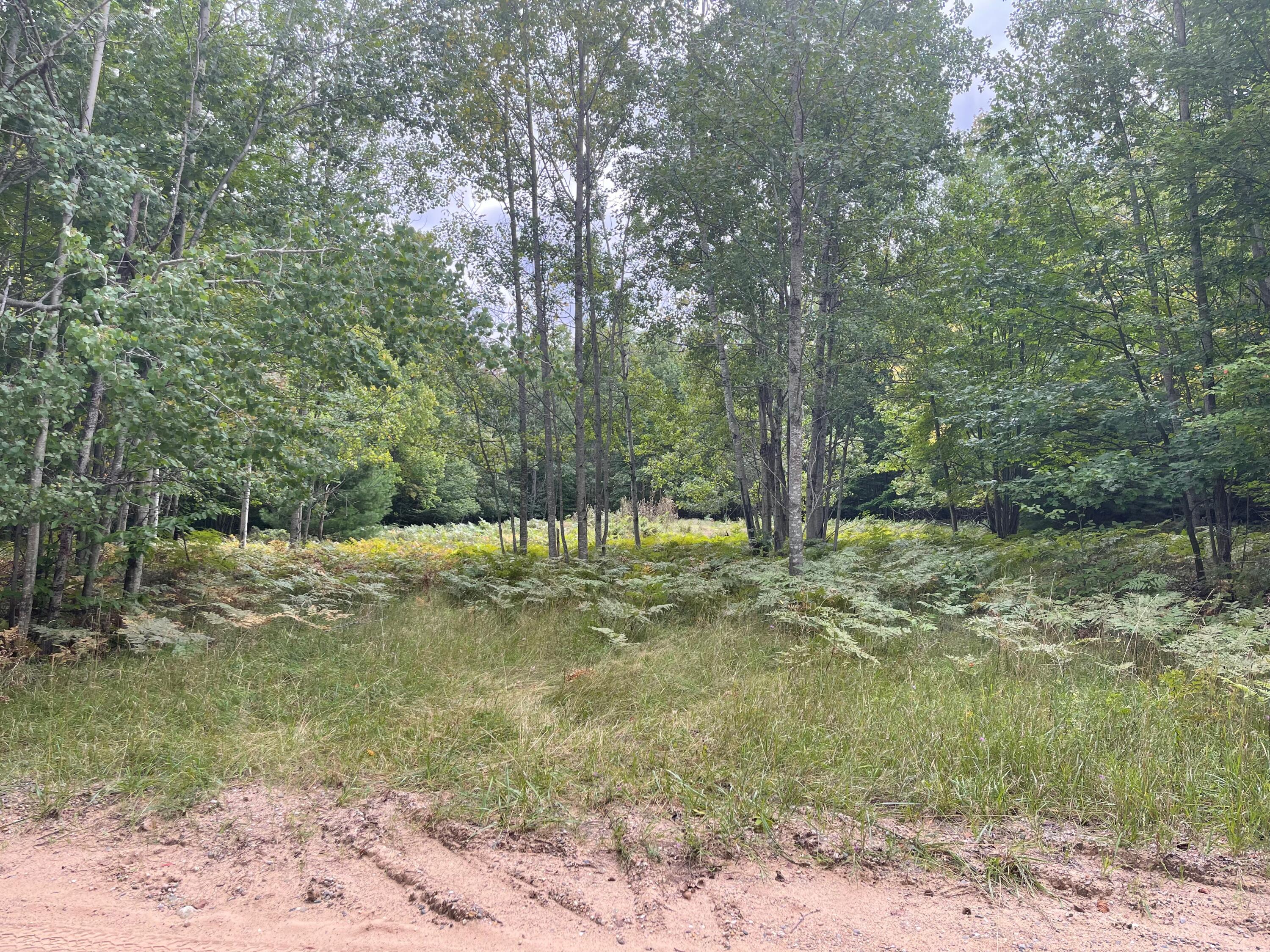Amoco Road Gaylord, MI 49735 - Photo 7 of 16 Gallery Image 7