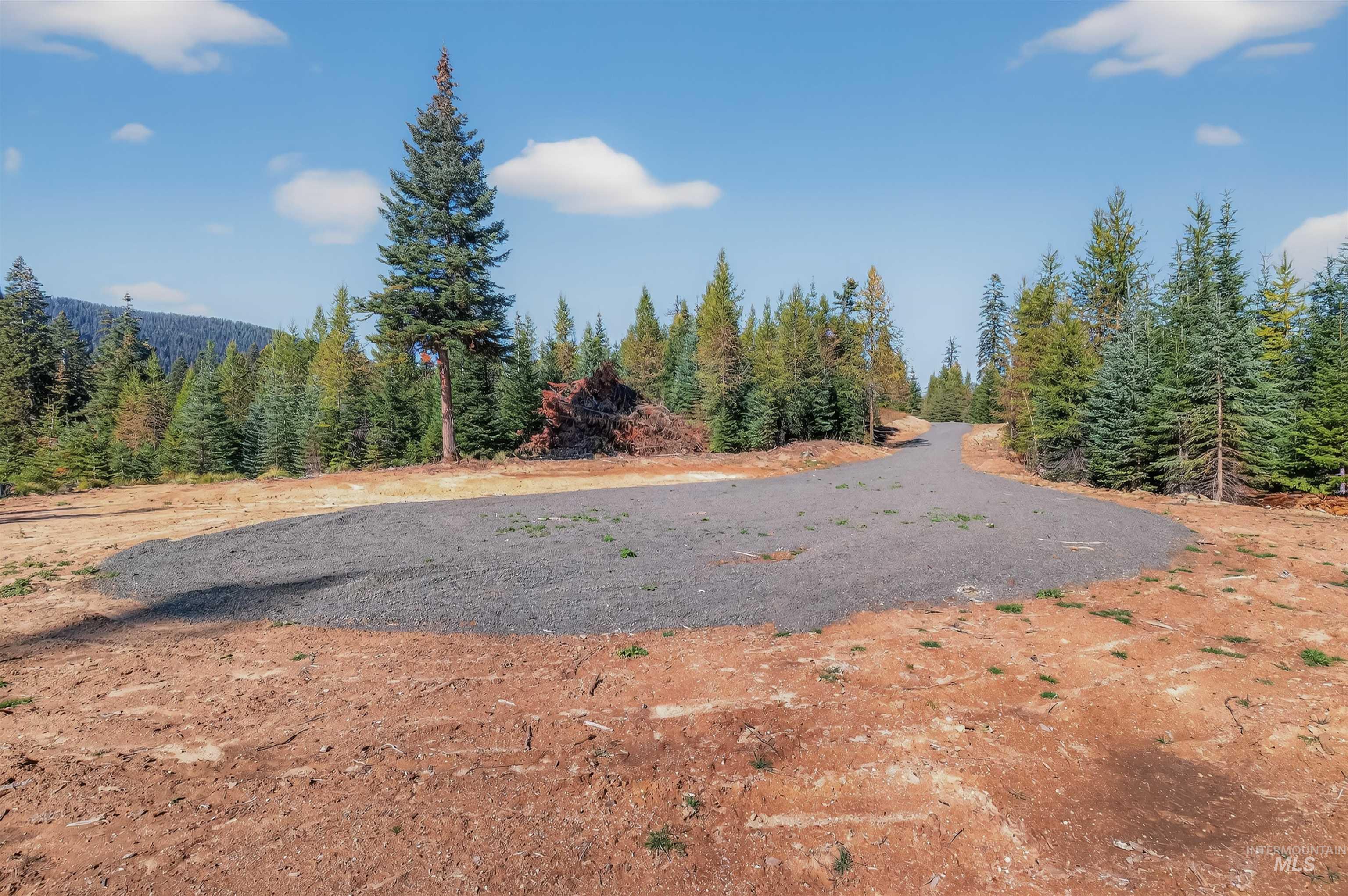 3 Tree Farm Trails Road Elk City, ID 83525 - Photo 12 of 17 View of street featuring a wooded view