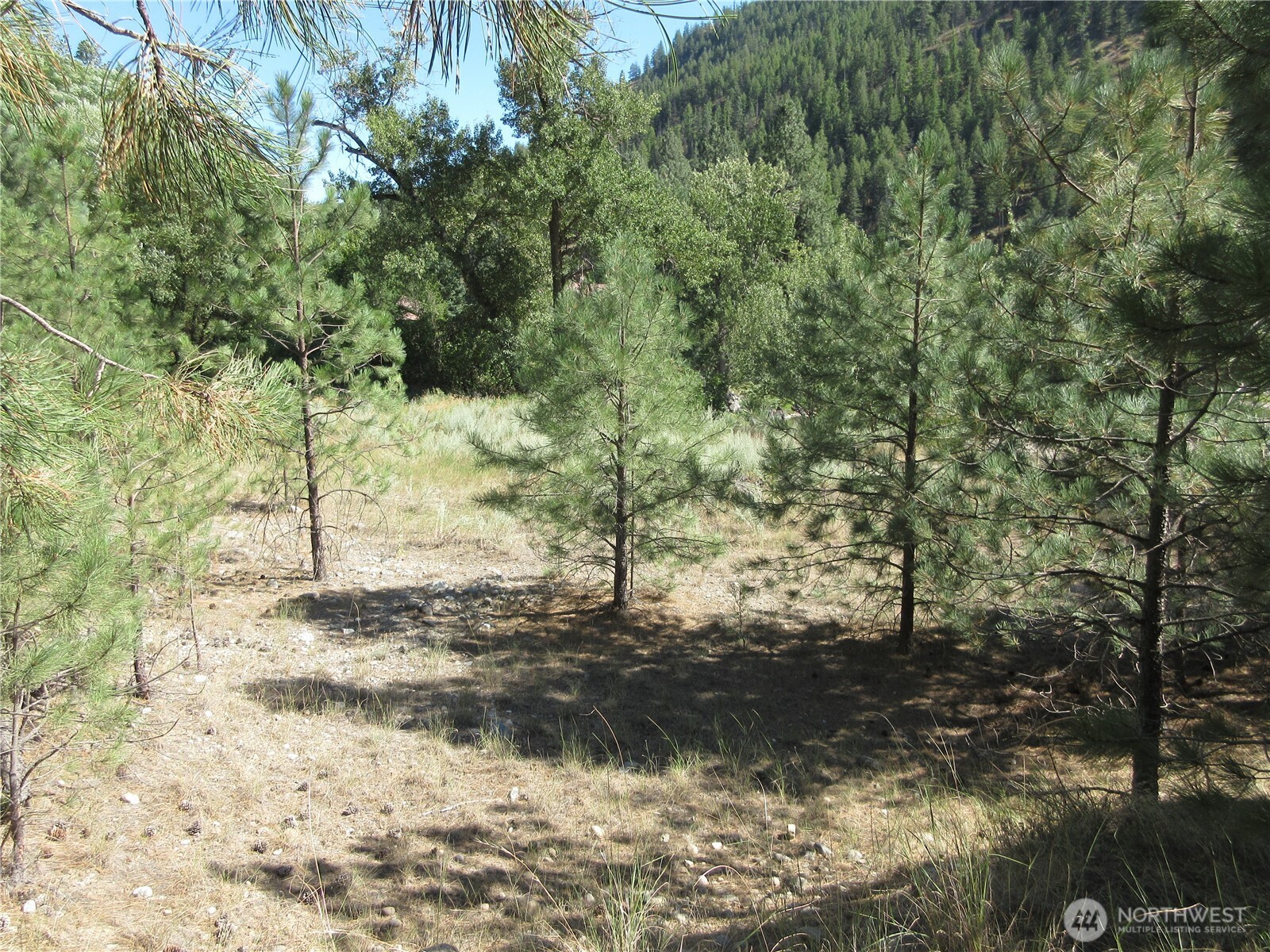 0 Customs Road Curlew, WA 99118 - Photo 13 of 17 Gallery Image 13