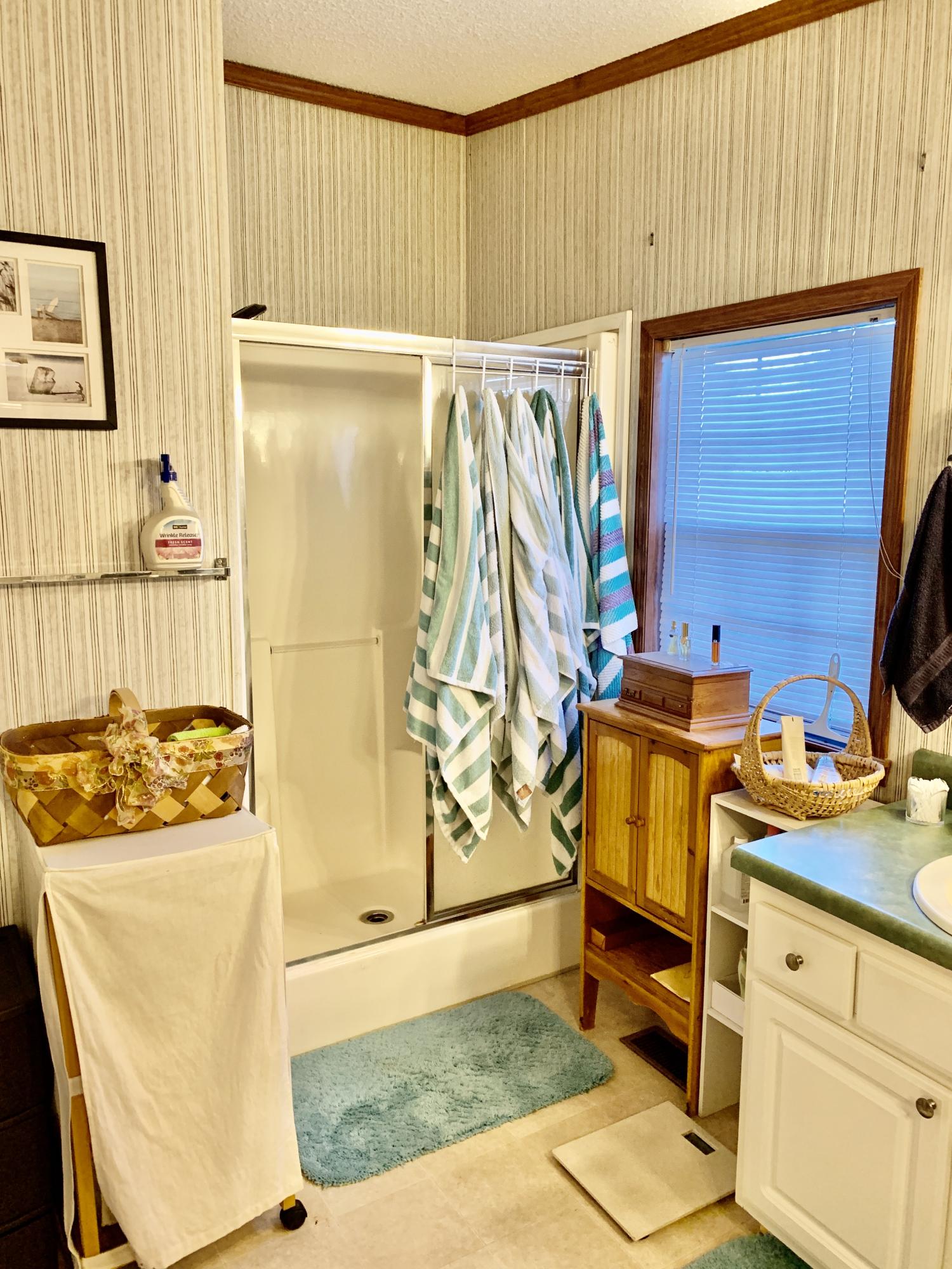 116 Amanda Lane Rockingham, NC 28379 - Photo 11 of 36 master bath