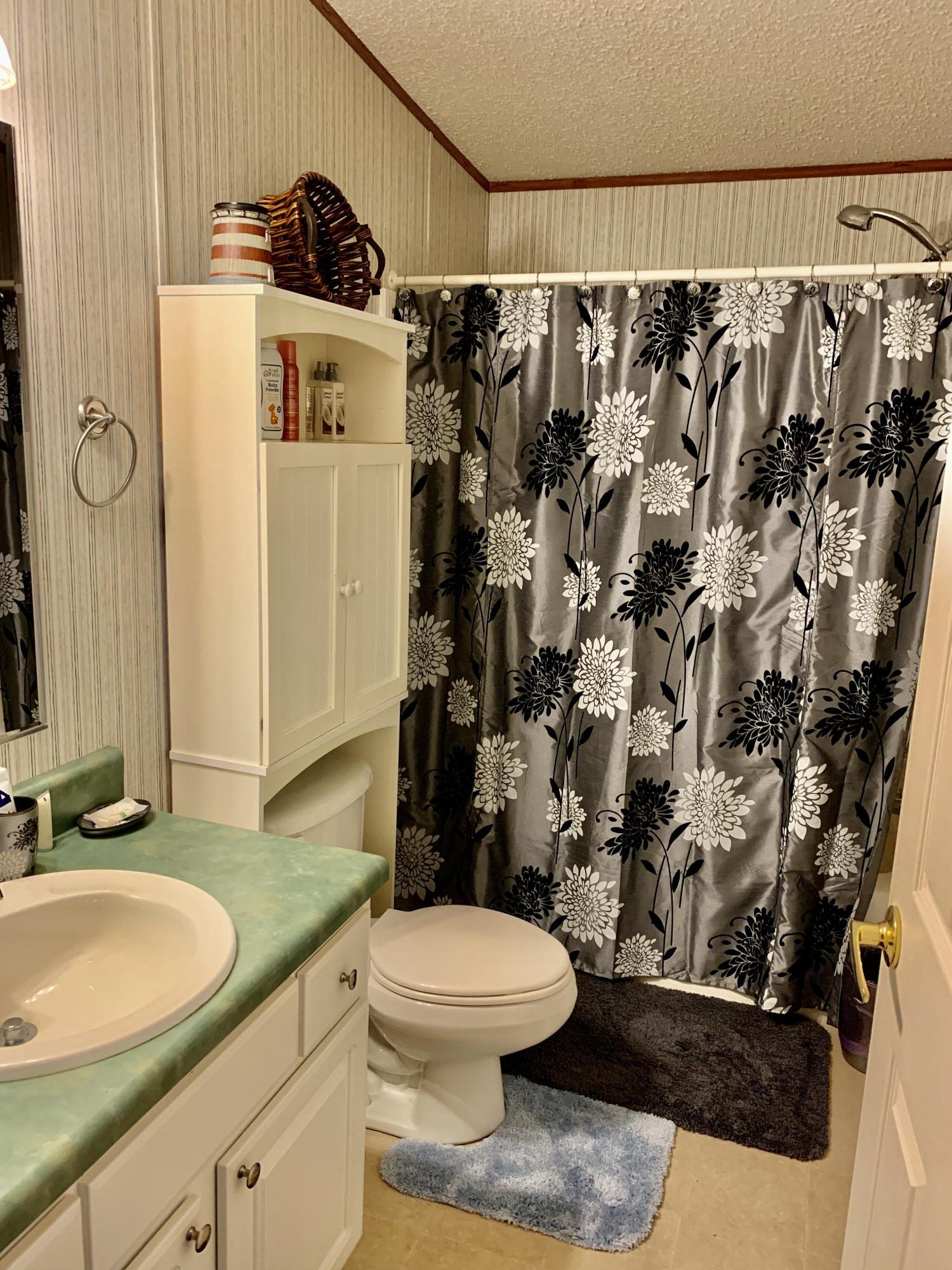 116 Amanda Lane Rockingham, NC 28379 - Photo 17 of 36 hall bath