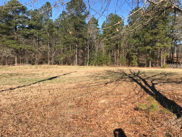 1 D Angela Road Wagener, SC 29164 - Photo 3 of 14