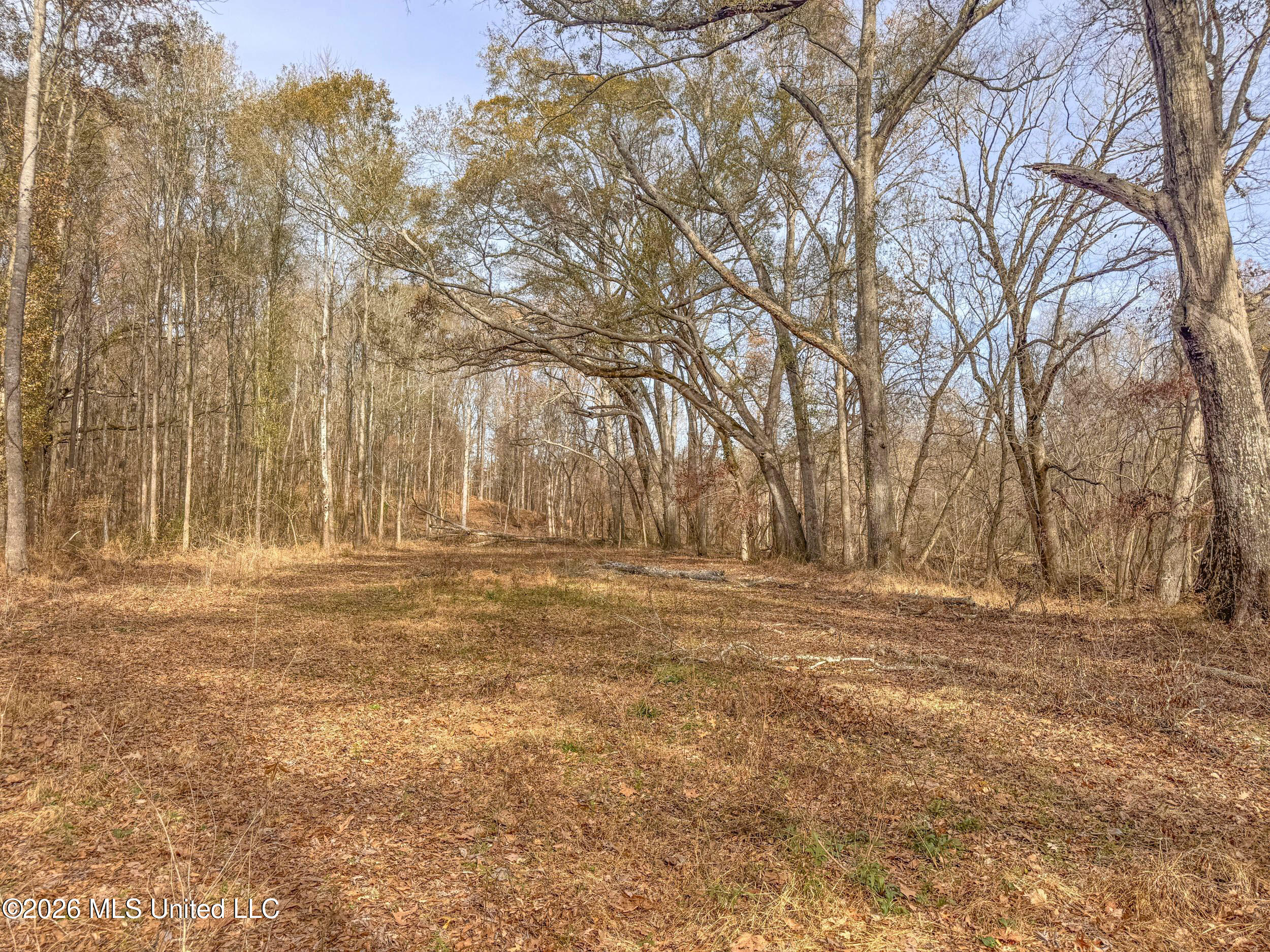 Chinqupin Road Lexington, MS 39095 - Photo 122 of 210 9chqpn17