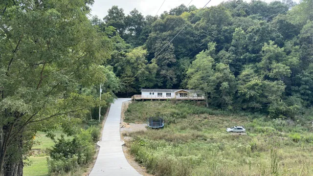 a view of a trees with a park