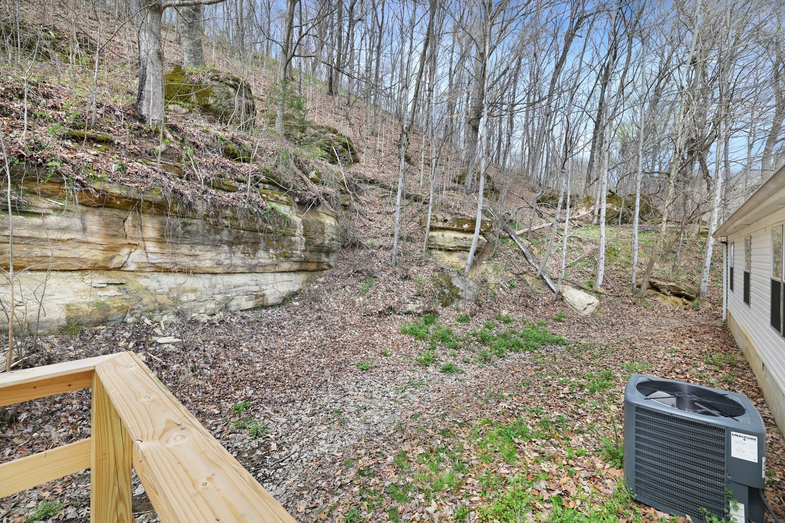 462 Pole Hill Road Goodlettsville, TN 37072 - Photo 39 of 41 a view of a backyard