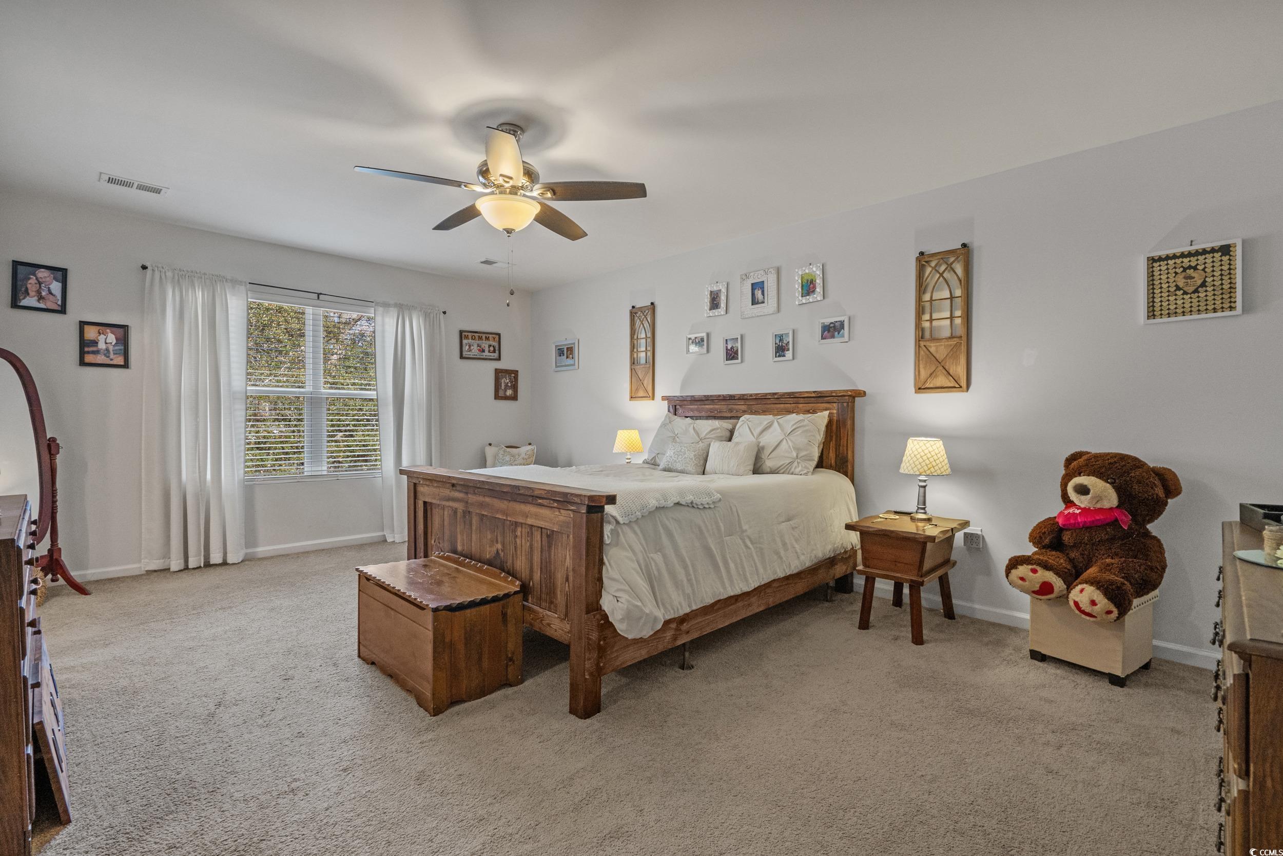 800 Wild Leaf Loop Conway, SC 29526 - Photo 16 of 40