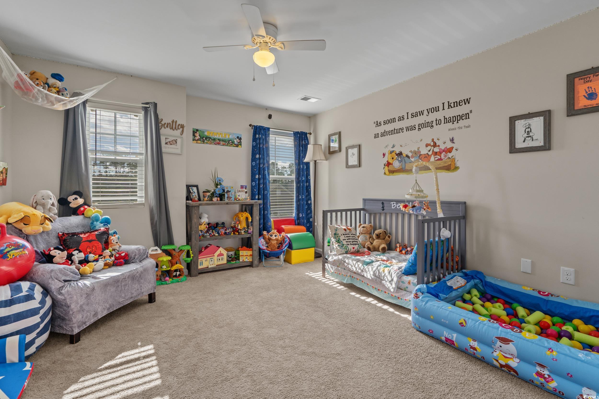 800 Wild Leaf Loop Conway, SC 29526 - Photo 22 of 40