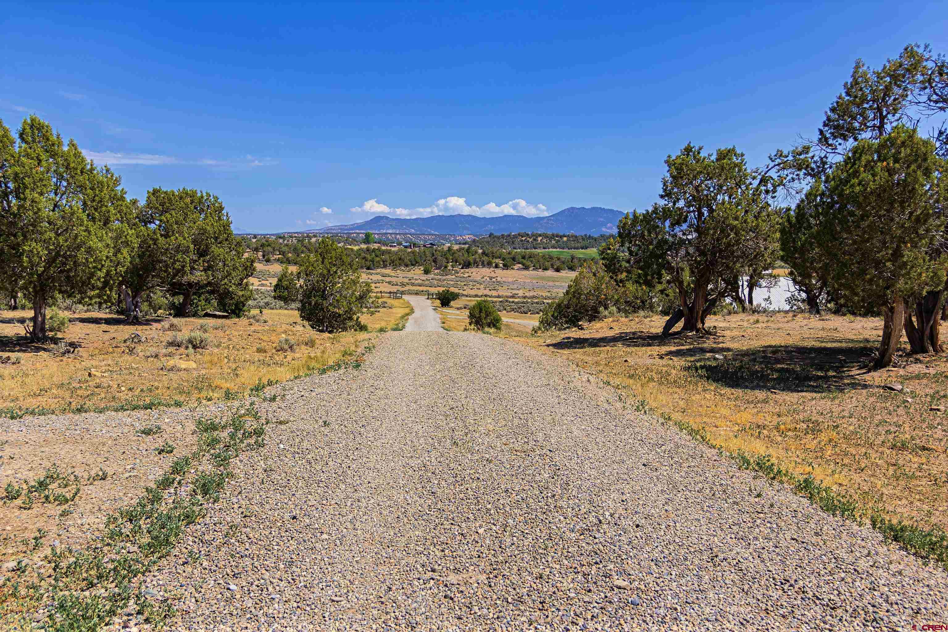 320 County Road 329 Ignacio, CO 81137 - Photo 20 of 45