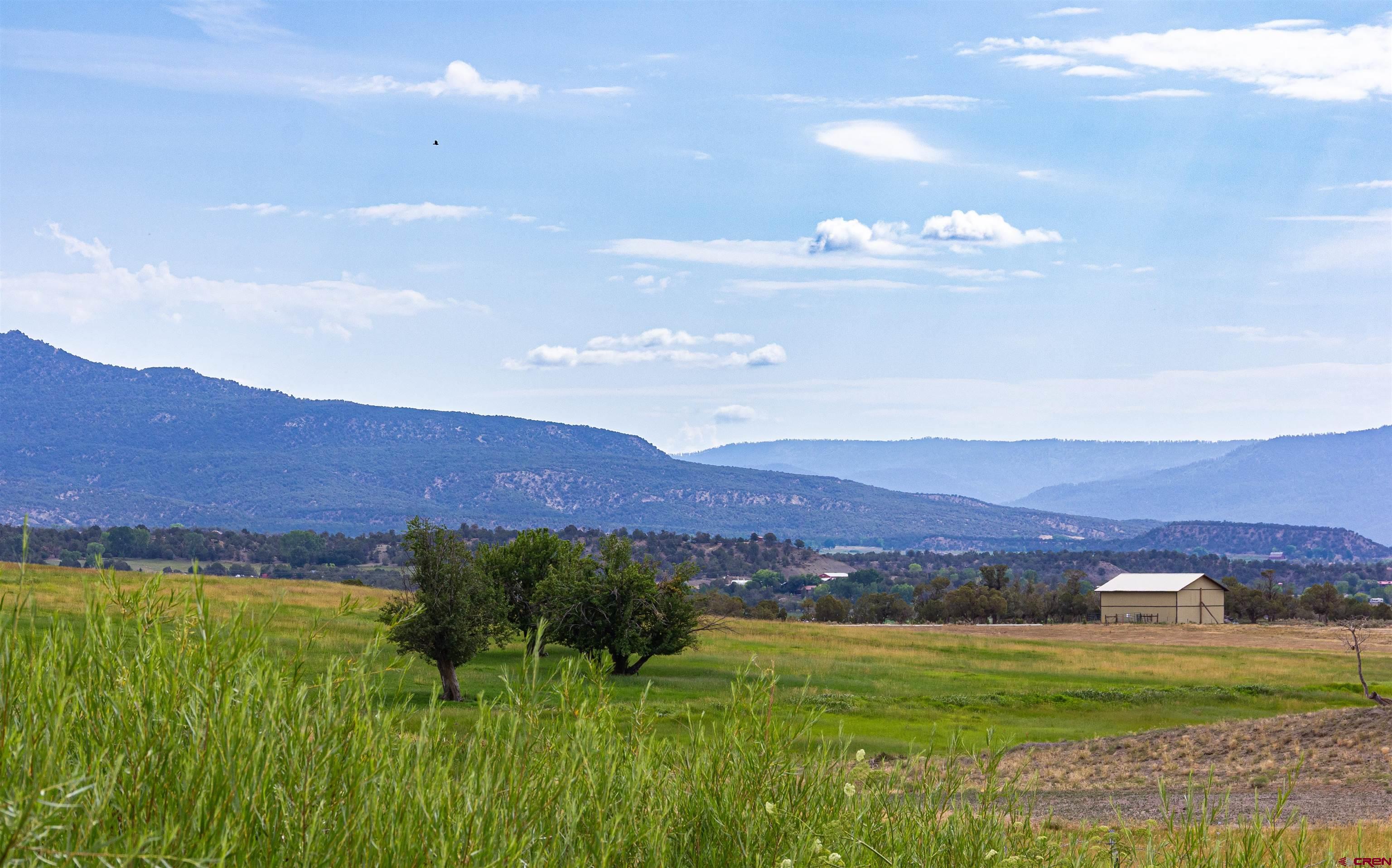 320 County Road 329 Ignacio, CO 81137 - Photo 22 of 45 a view of a lush green hillside and houses
