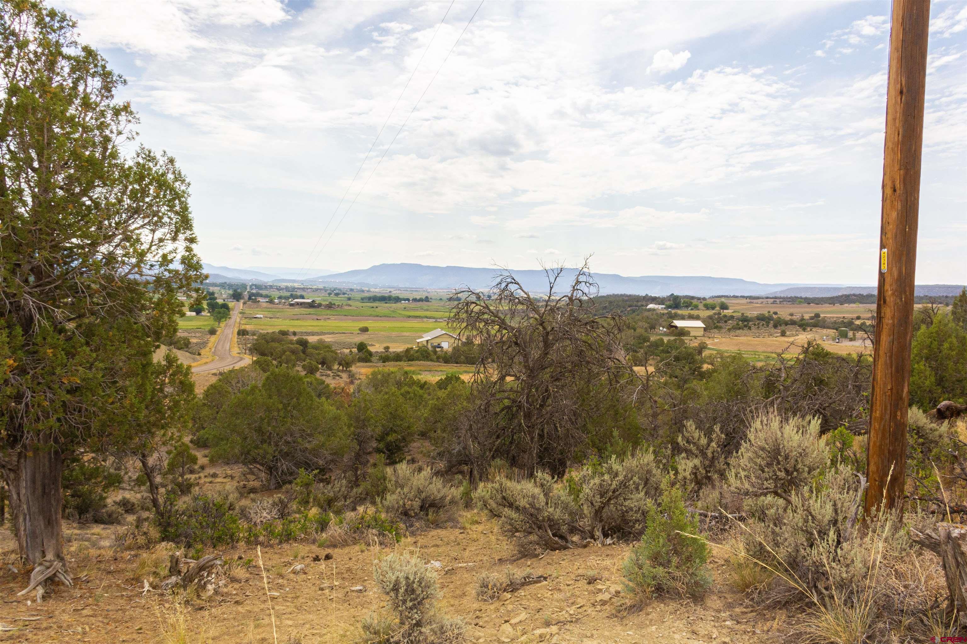 320 County Road 329 Ignacio, CO 81137 - Photo 25 of 45