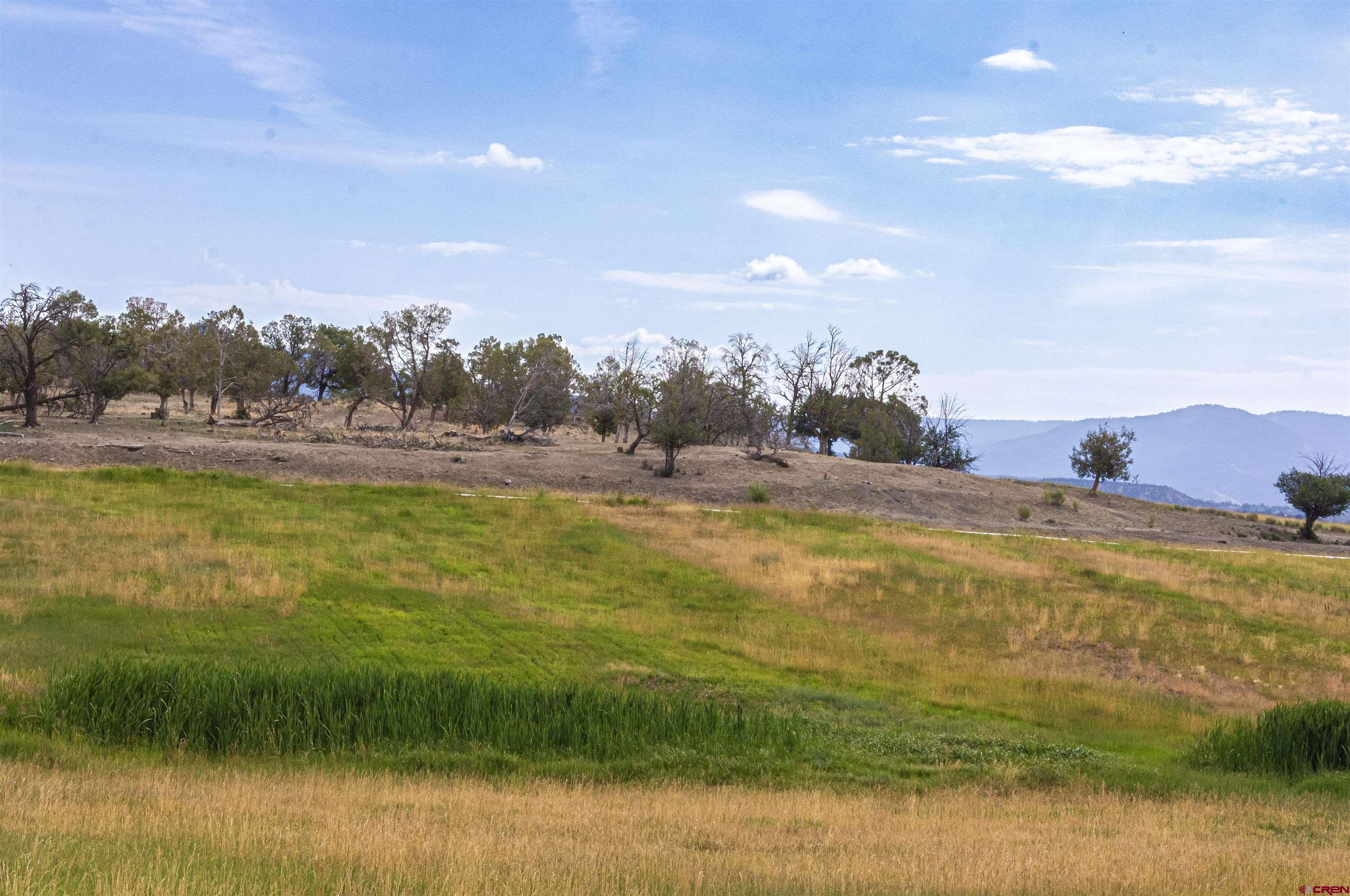 320 County Road 329 Ignacio, CO 81137 - Photo 27 of 45