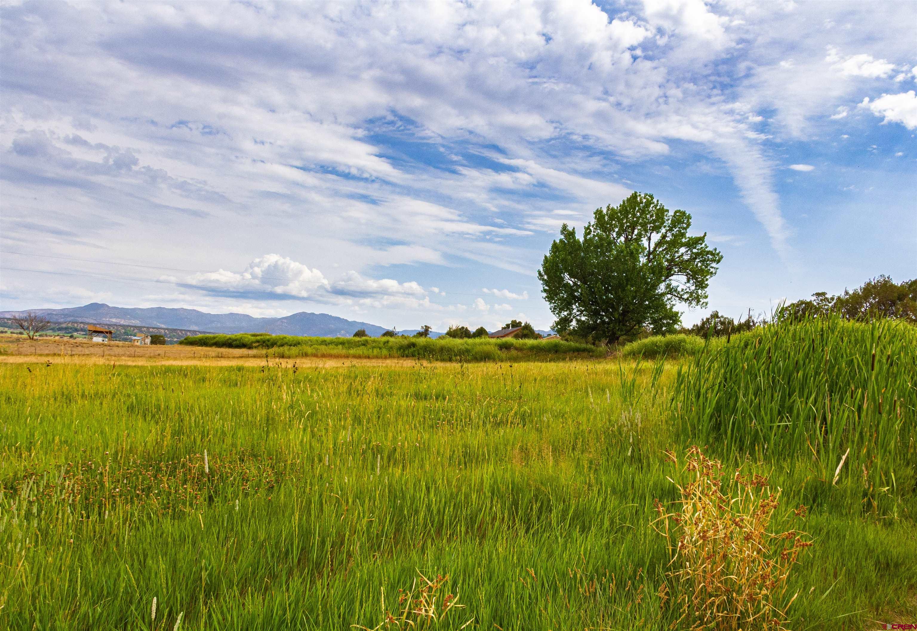 320 County Road 329 Ignacio, CO 81137 - Photo 28 of 45 a view of an ocean from a yard