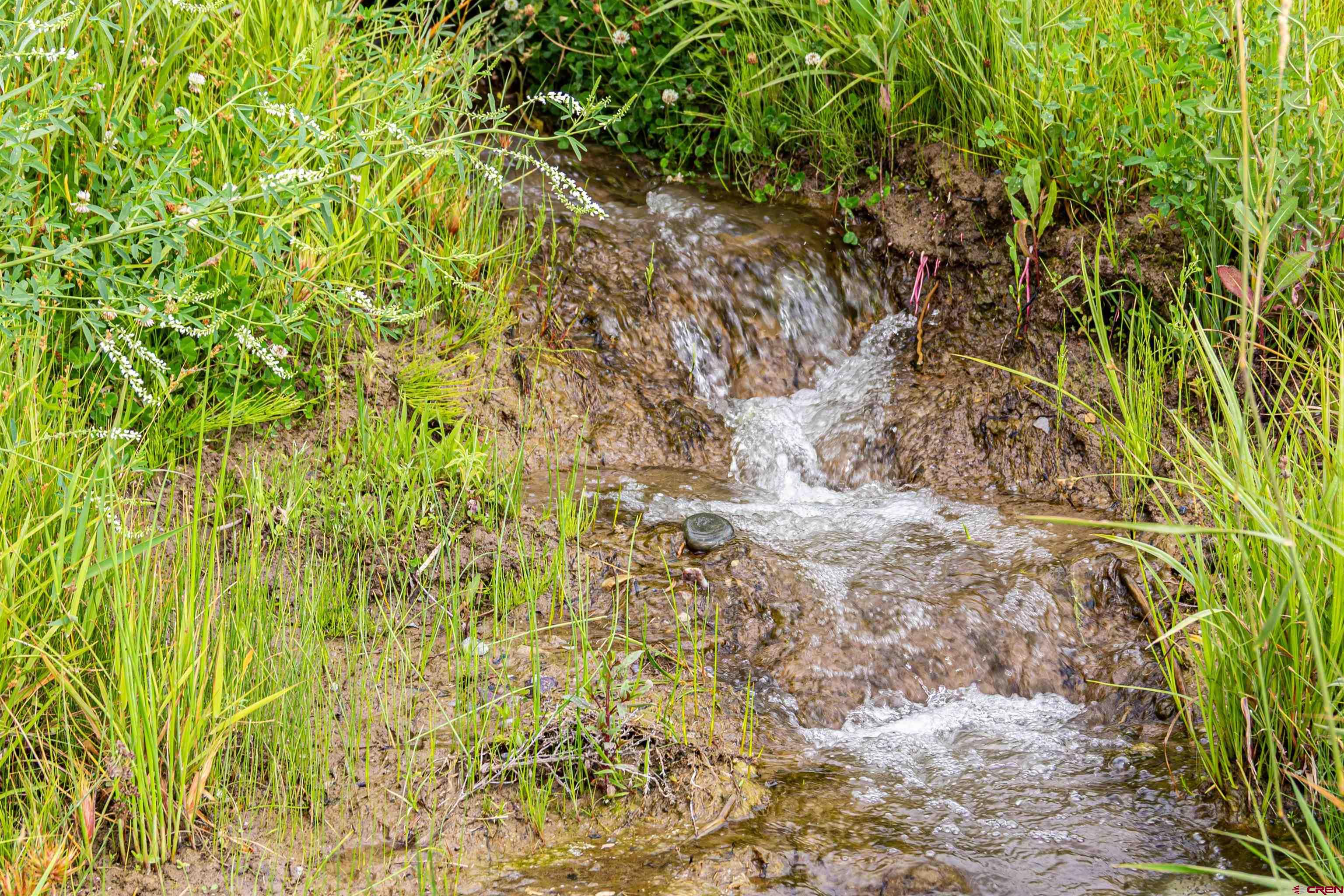320 County Road 329 Ignacio, CO 81137 - Photo 30 of 45 a backyard of a house with large trees