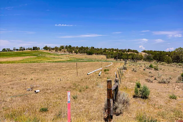 a view of a city with a lake
