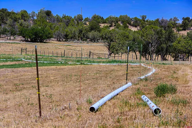 a view of a lake with a big yard and large trees