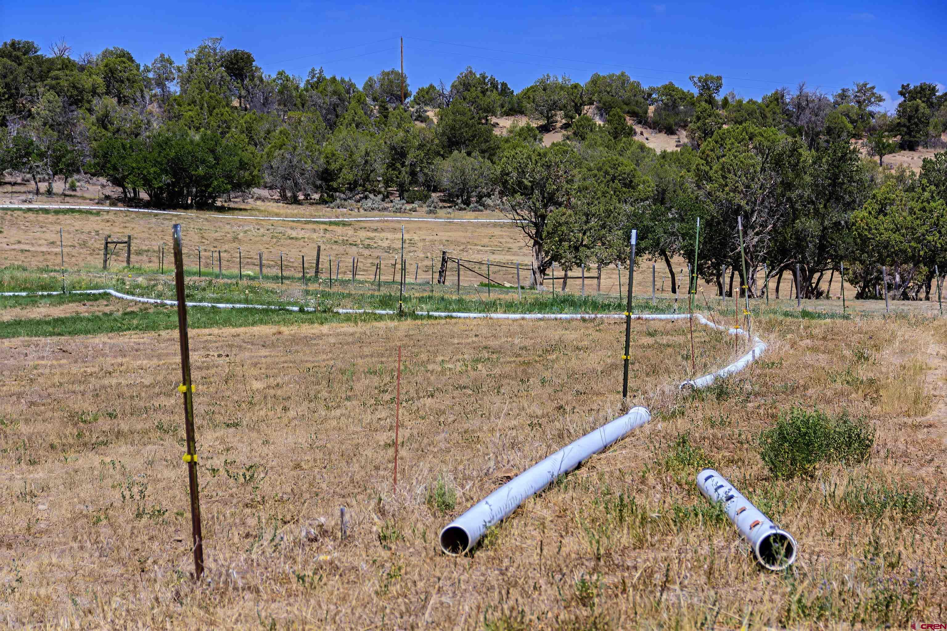 320 County Road 329 Ignacio, CO 81137 - Photo 32 of 45