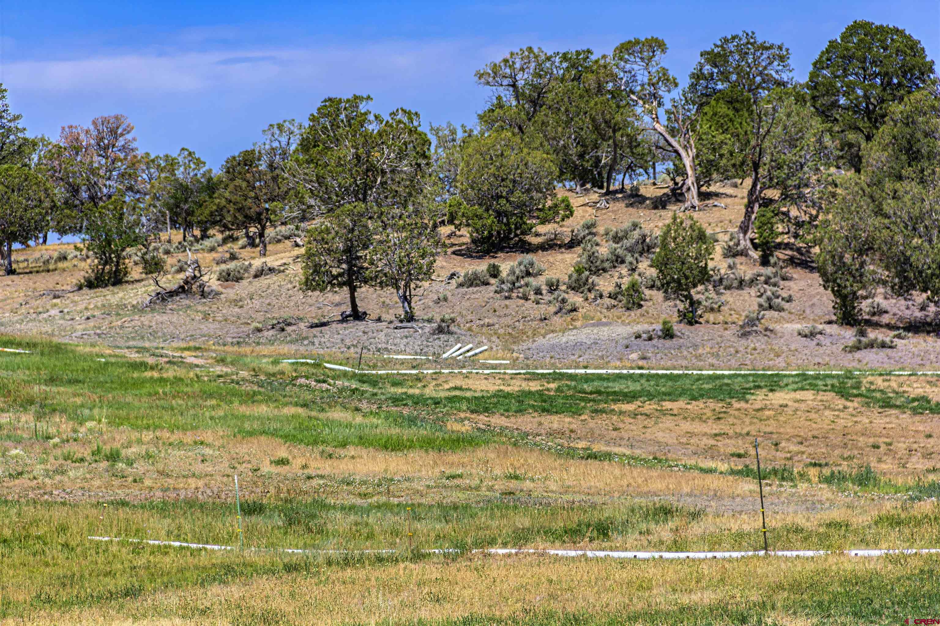 320 County Road 329 Ignacio, CO 81137 - Photo 33 of 45