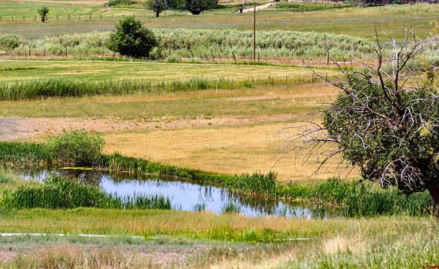 a view of an ocean with a mountain