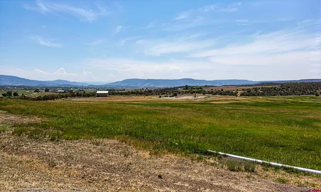 a view of an ocean and beach