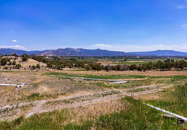 a view of a yard with an trees