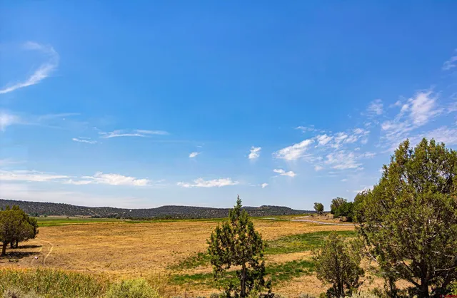 a backyard of a house with lots of trees