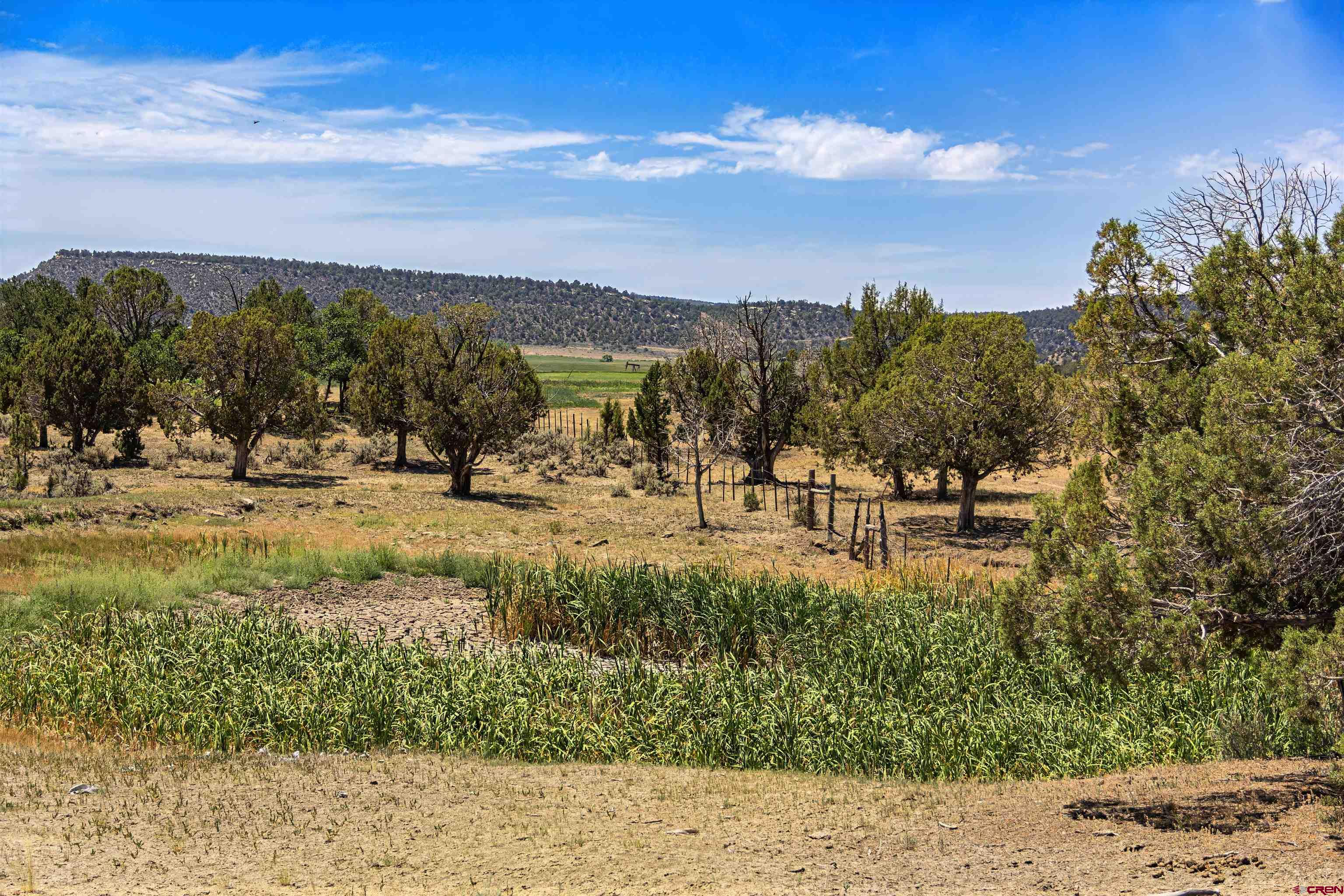 320 County Road 329 Ignacio, CO 81137 - Photo 41 of 45