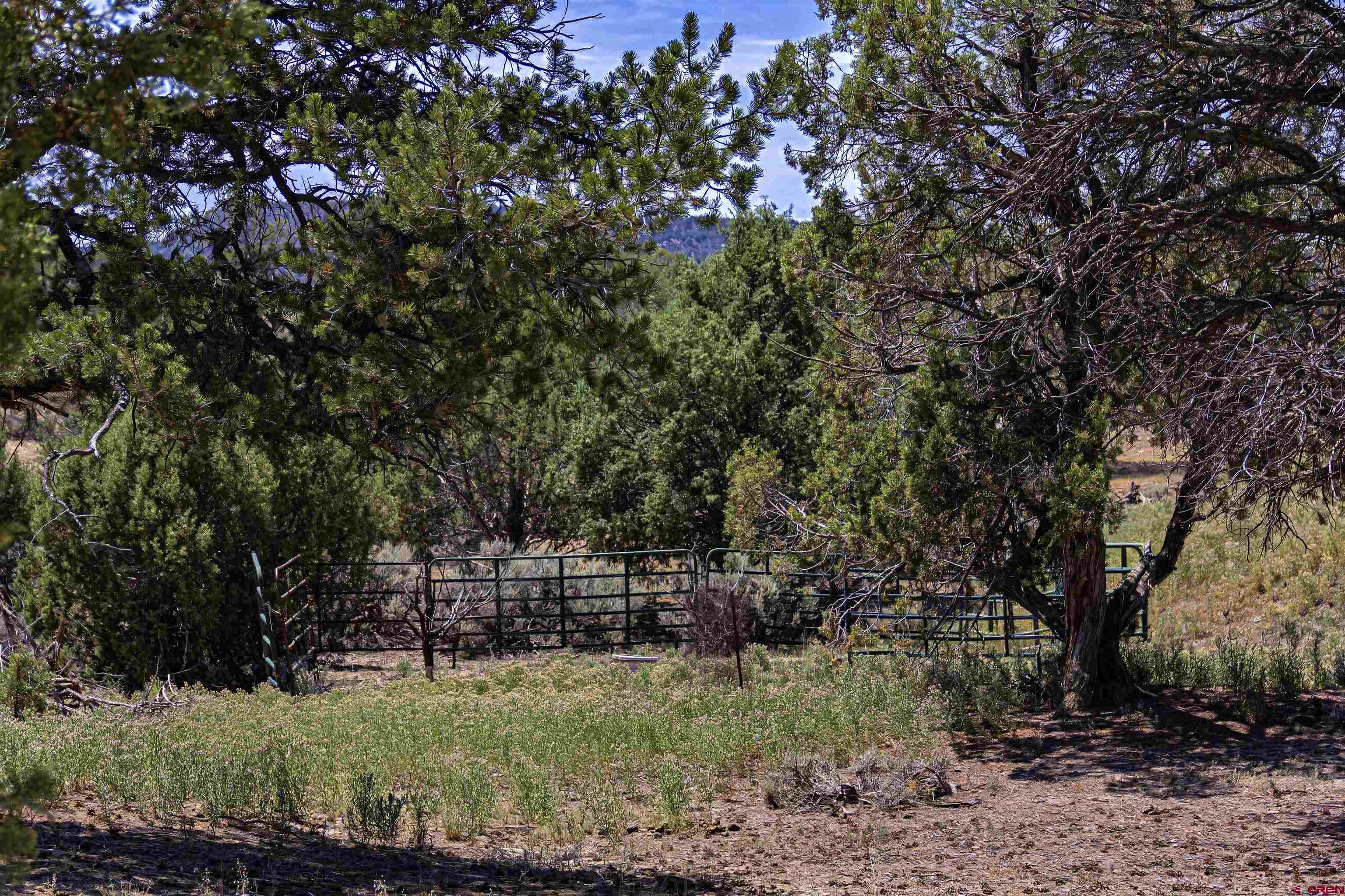 320 County Road 329 Ignacio, CO 81137 - Photo 43 of 45 a backyard of a house with lots of trees