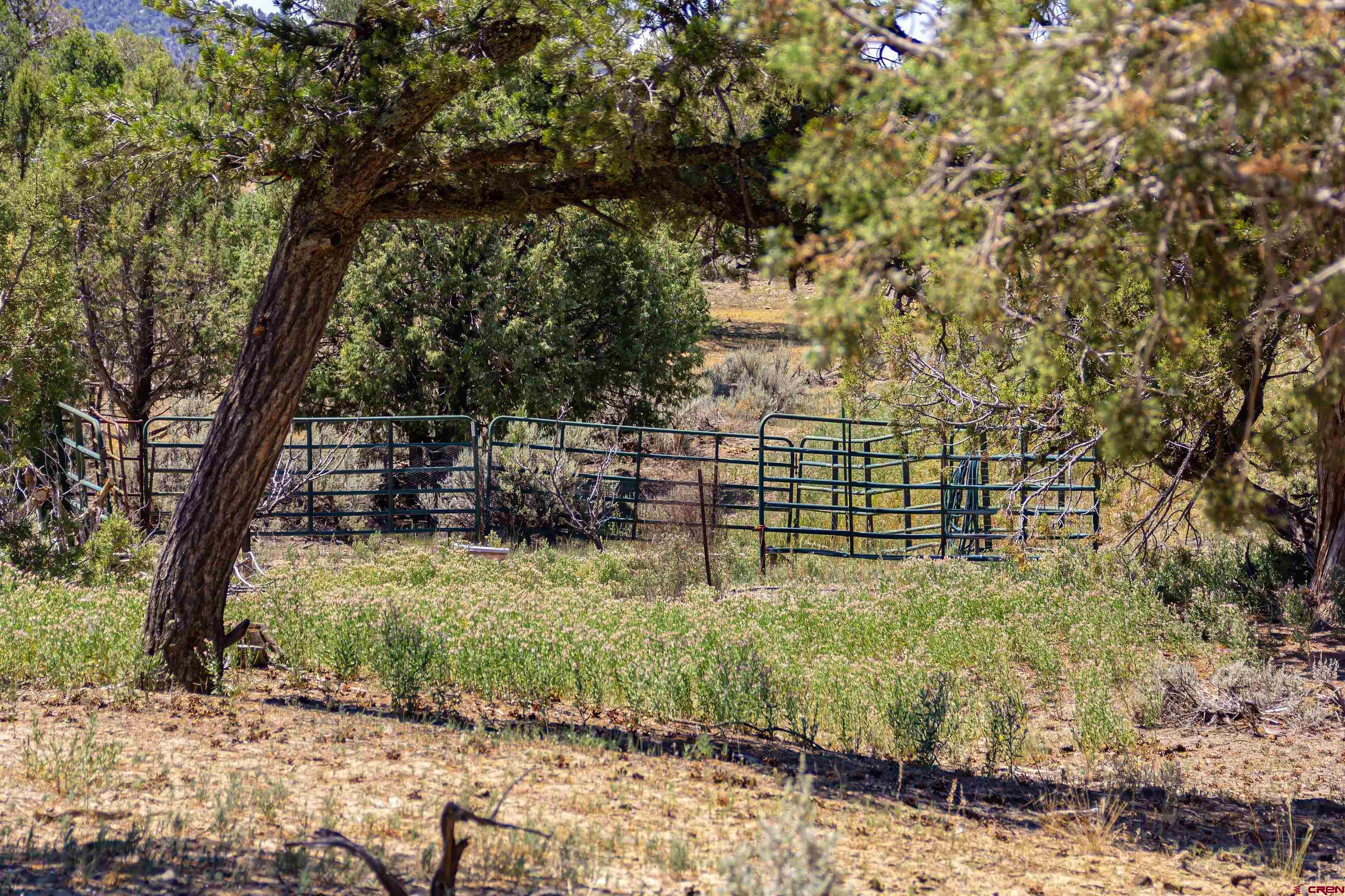 320 County Road 329 Ignacio, CO 81137 - Photo 44 of 45 a backyard of a house with lots of green space