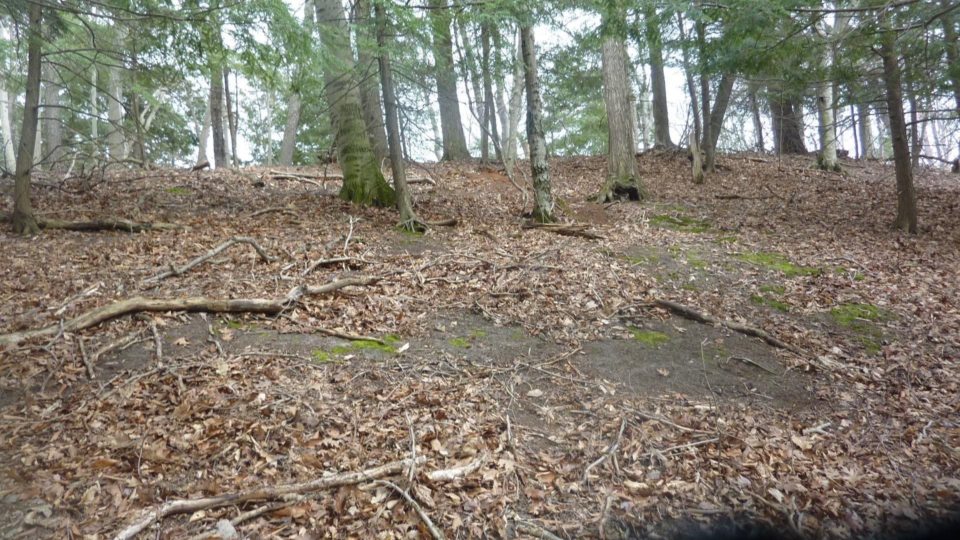0 Old State Road Frankfort, MI 49635 - Photo 5 of 17