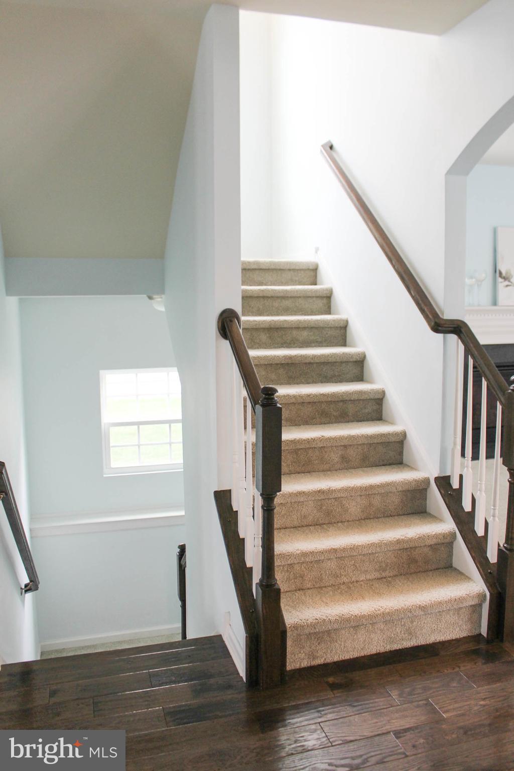 3791 Christopher Day Road Doylestown, PA 18902 - Photo 46 of 69 Lower Level