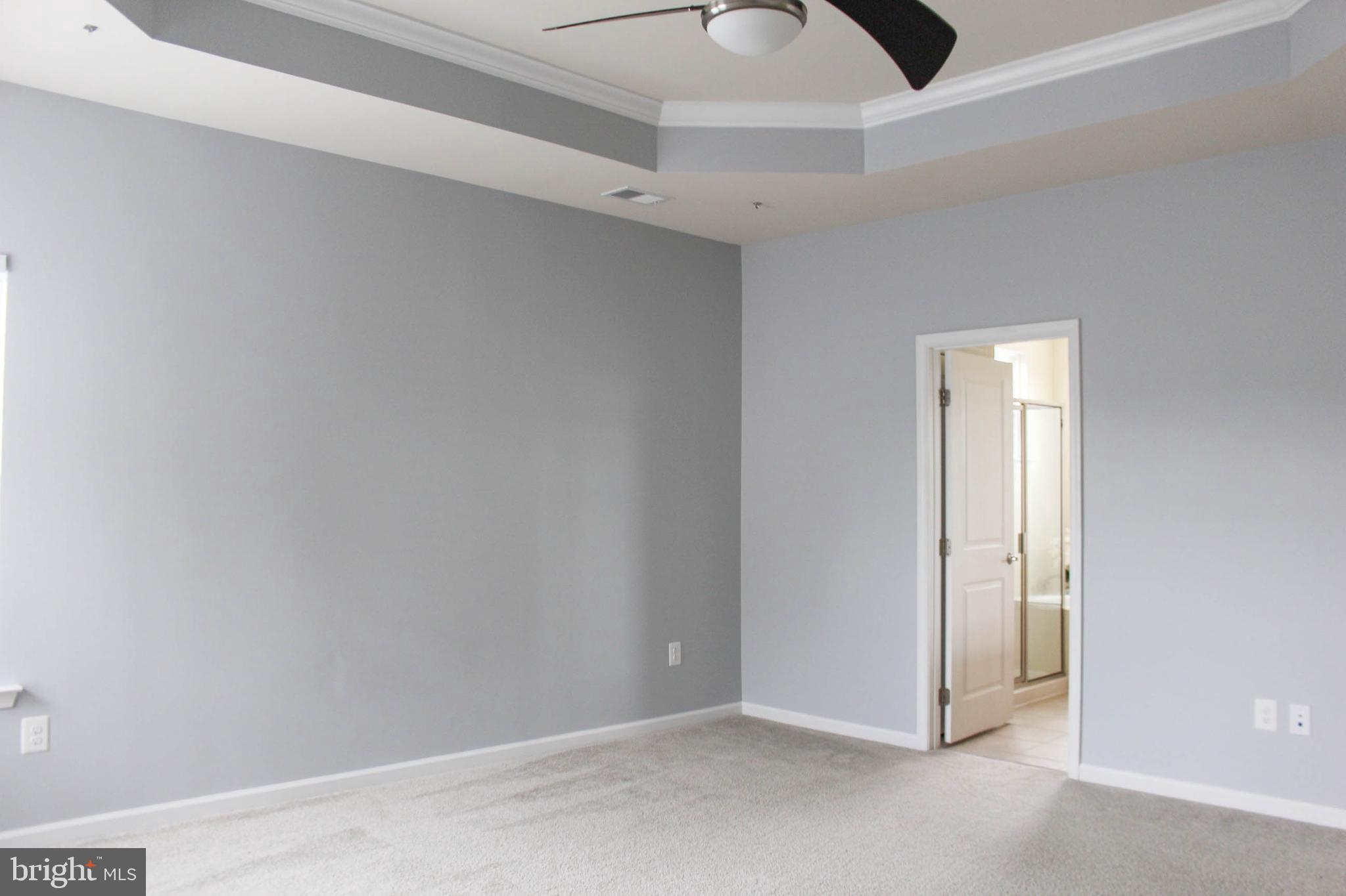3791 Christopher Day Road Doylestown, PA 18902 - Photo 49 of 69 Tray Ceilings