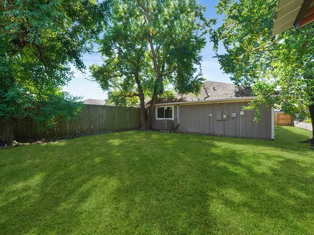 a view of a backyard with a garden and trees