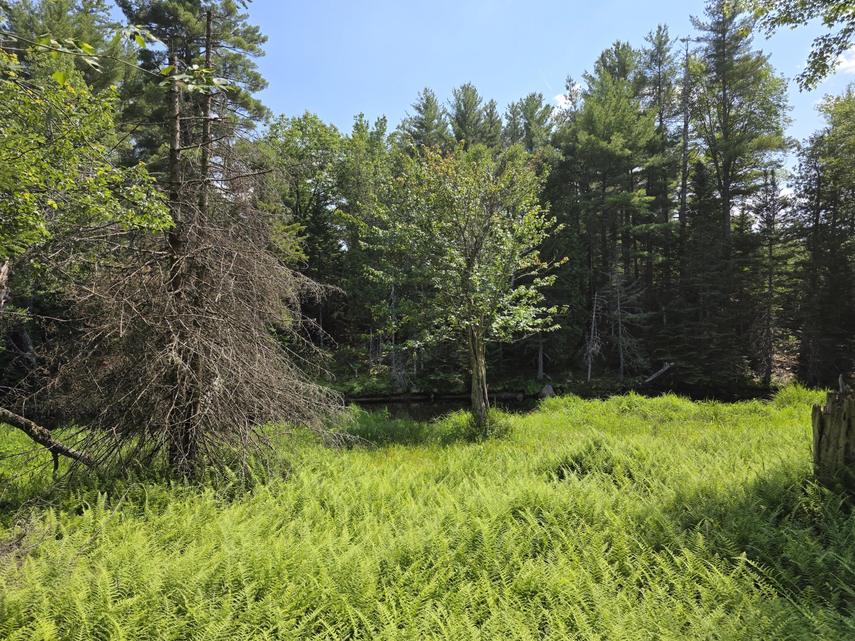 0 Brown Road Searsmont, ME 04973 - Photo 2 of 14 1000033549