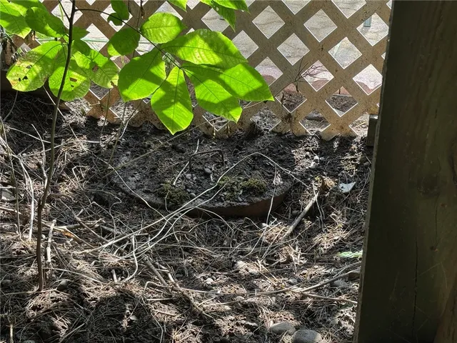 $375,000 | 145 Elm Drive, Bainbridge, NY 13733