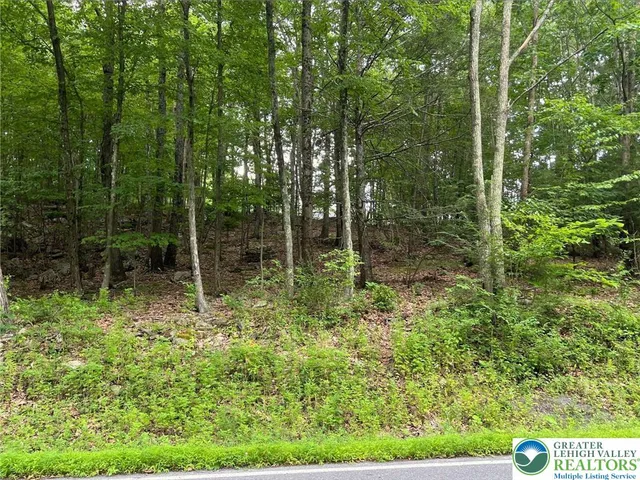 a view of backyard with green space