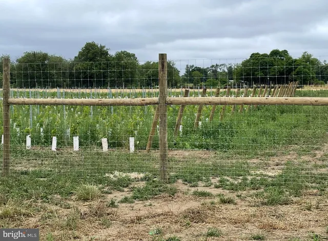 a view of a lake with houses in the background