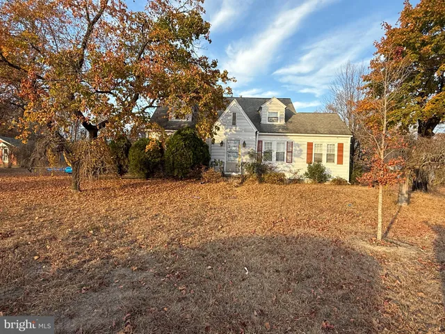 a view of road and trees